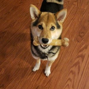 Meet your Posher, Monica